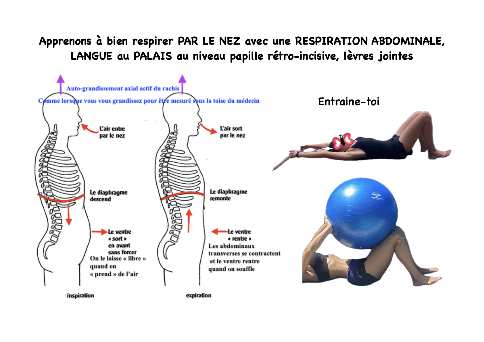 Respiration abdominale